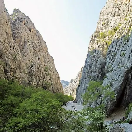 Adriatic Rose דירה