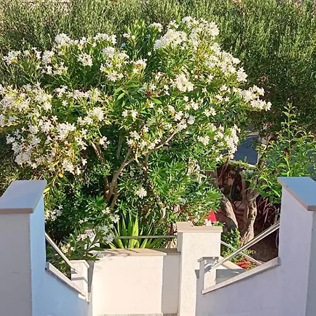 شقة Adriatic Rose *